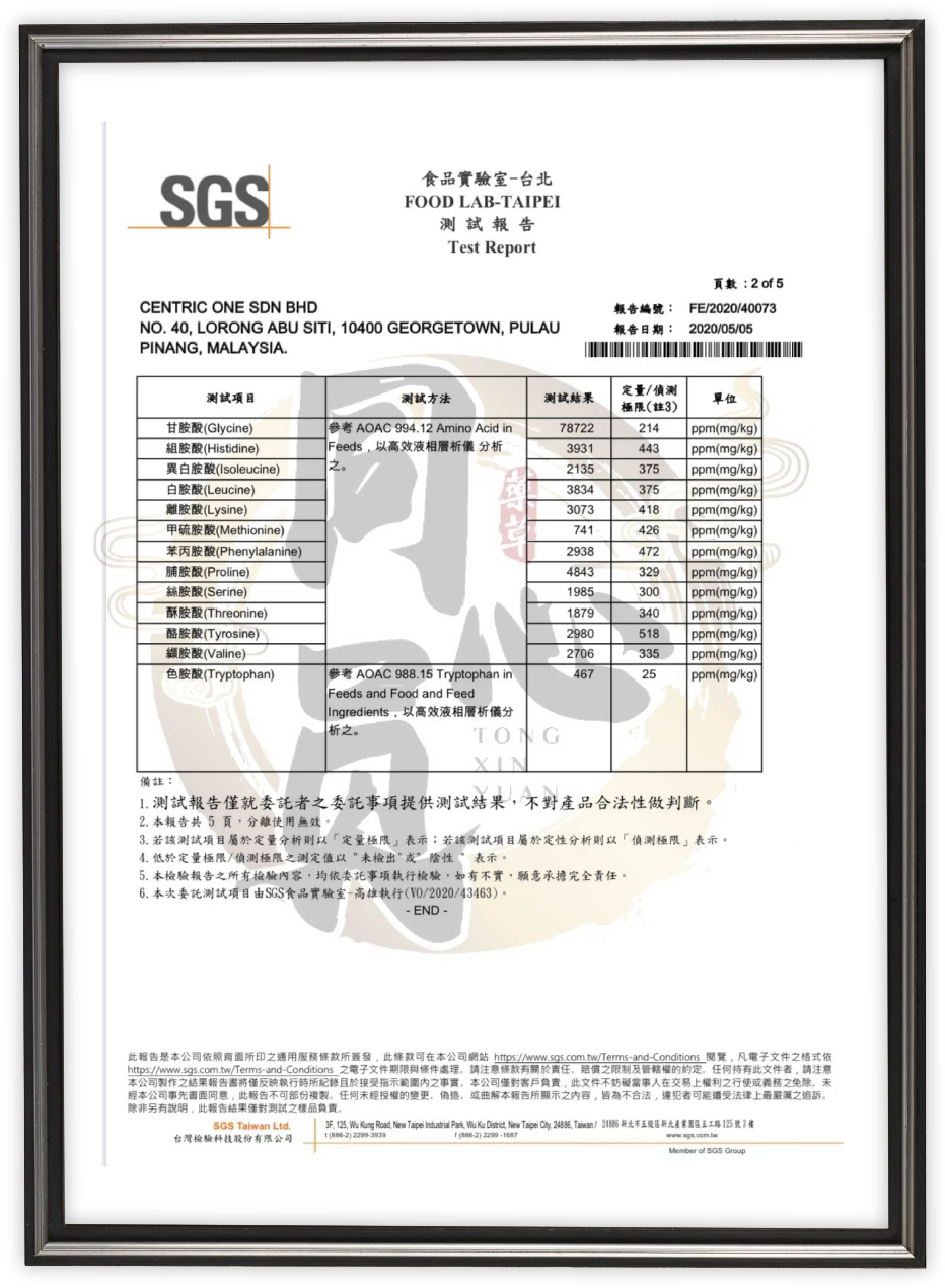amcen sgs 2
