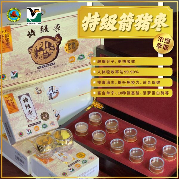 同心圆特级纳米箭猪枣价钱